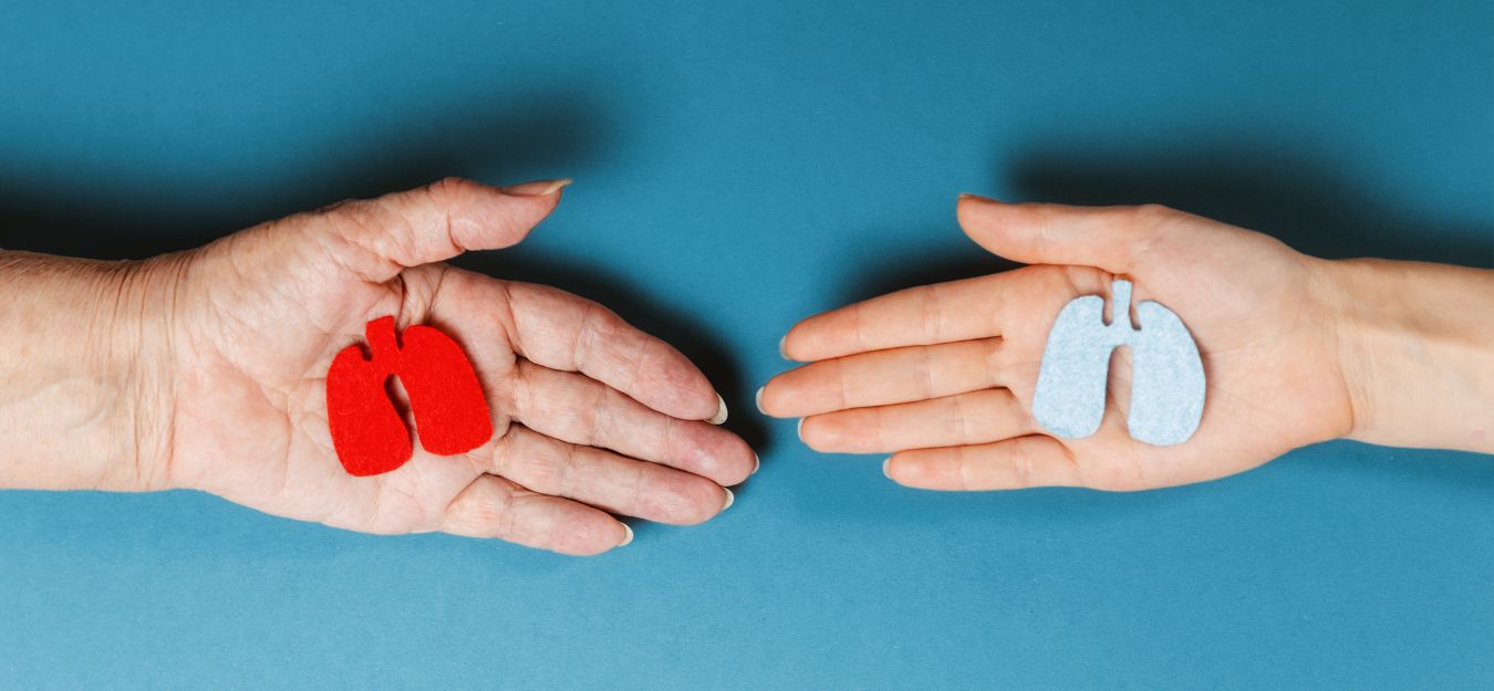 Two hands holding paper lungs. One is red, the other is white.